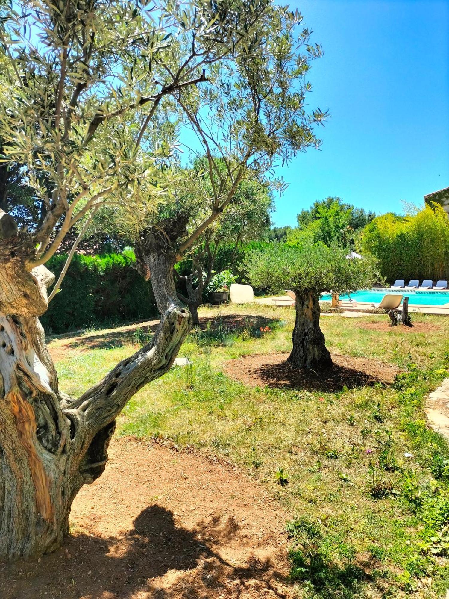 Vacances Carnoux-en-Provence Esterno foto